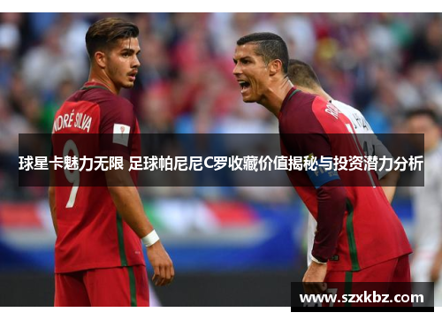 球星卡魅力无限 足球帕尼尼C罗收藏价值揭秘与投资潜力分析